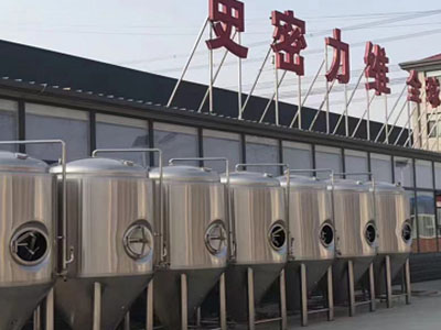 定海精酿啤酒设备厂—如何判断精酿啤酒设备的密封件需要更换？